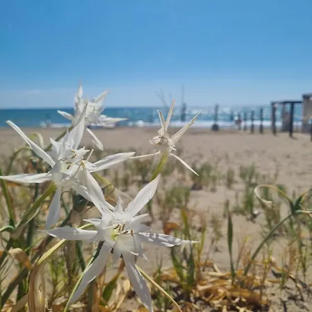 Daire Casa Sulla - Sea And